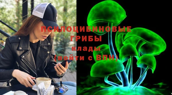 PSILOCYBIN Вязники