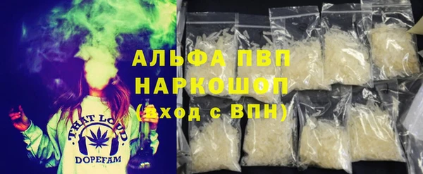 крисы Аркадак