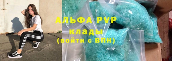 крисы Аркадак
