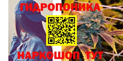 скорость Берёзовский