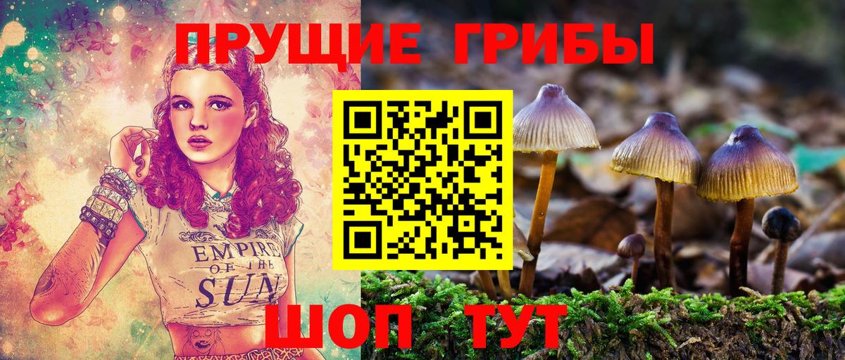 Псилоцибиновые грибы Psilocybine cubensis Дедовск