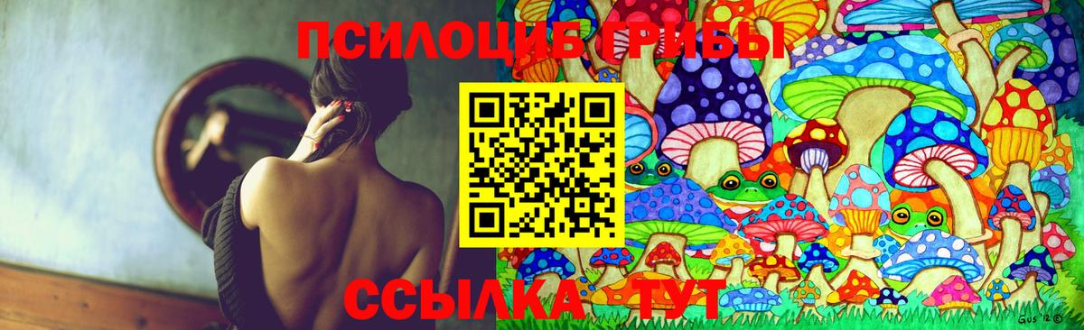 Дедовск  Псилоцибиновые грибы прущие грибы  Вход с VPN 