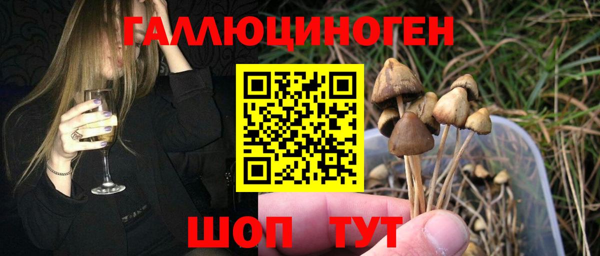 Псилоцибиновые грибы мицелий  закладка  Дедовск 