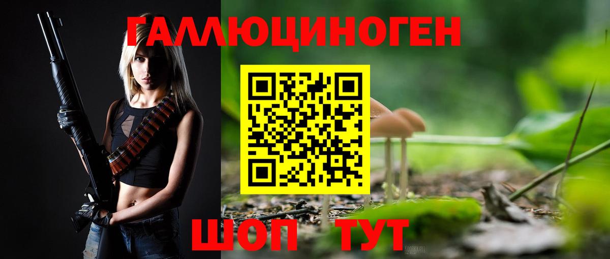 Псилоцибиновые грибы GOLDEN TEACHER Дедовск